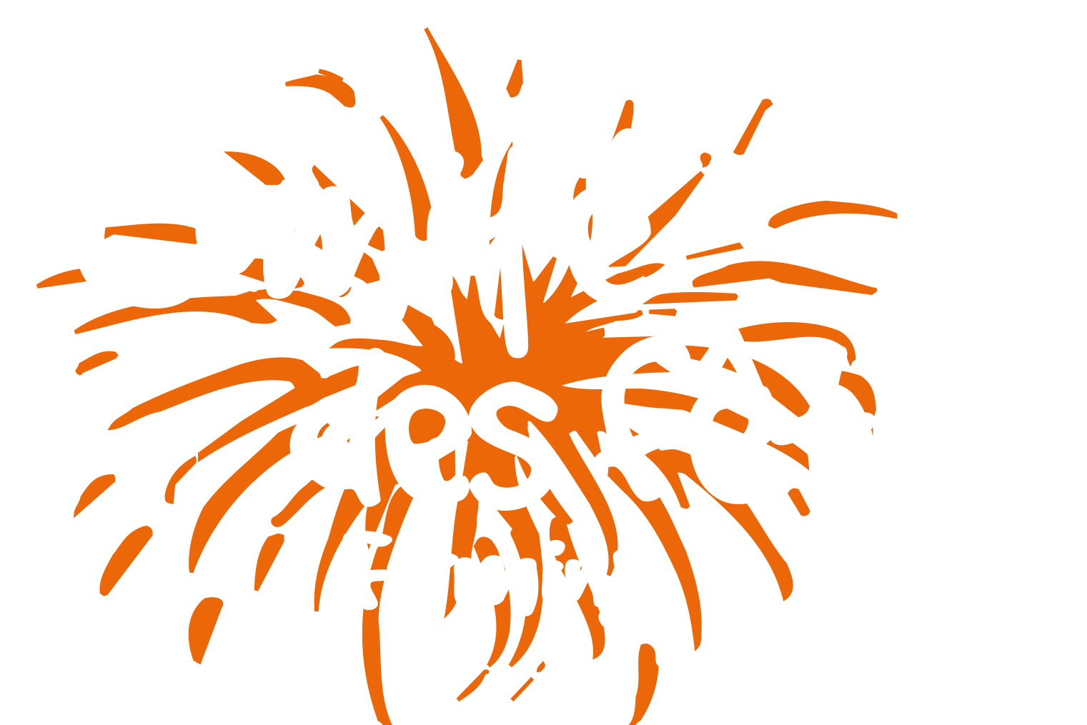 COMITE DES FETES DE FIRMINY